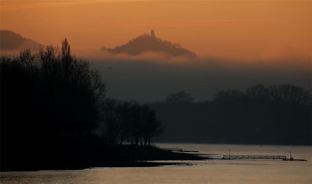 Nebelschwaden ziehen vor der Burg Drachenfels über den Rhein bei Bonn.