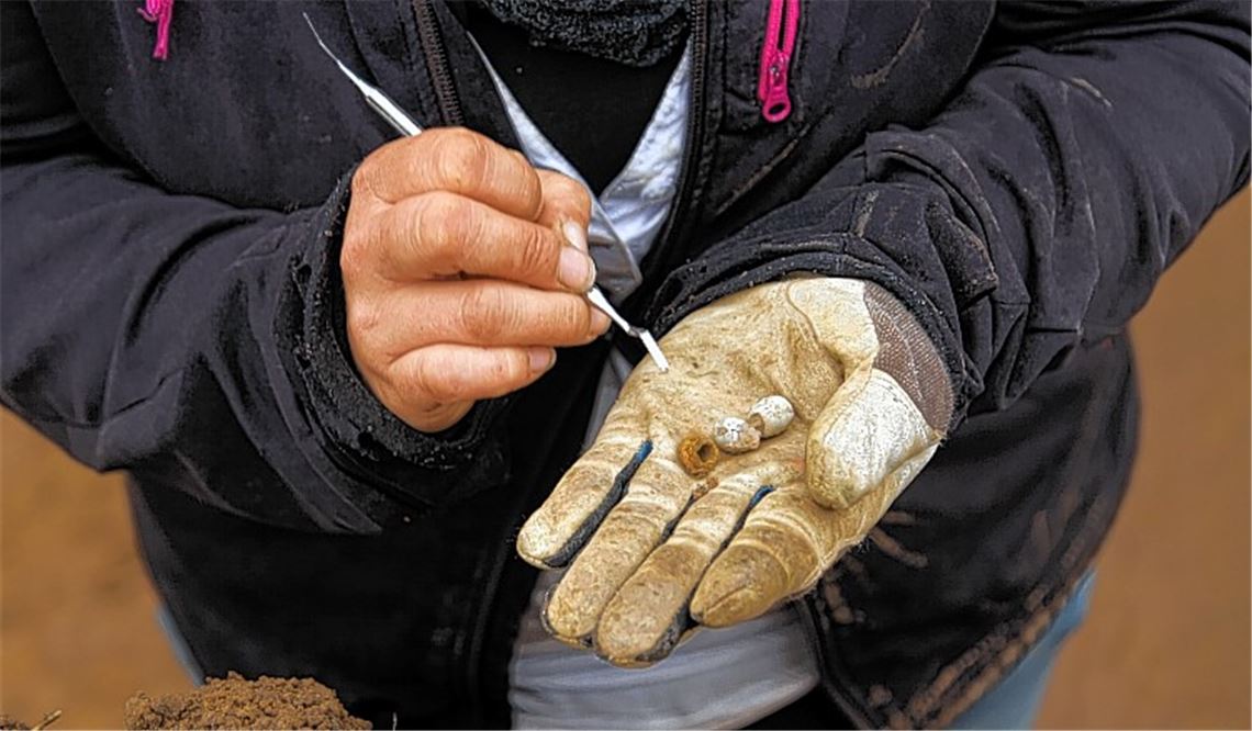 Neue Funde: Glasperlen, die – vermutlich vor etlichen Jahrhunderten – als Grabbeigaben auf dem damaligen Friedhof bei Großglattbach dienten. Fotos: Sadler