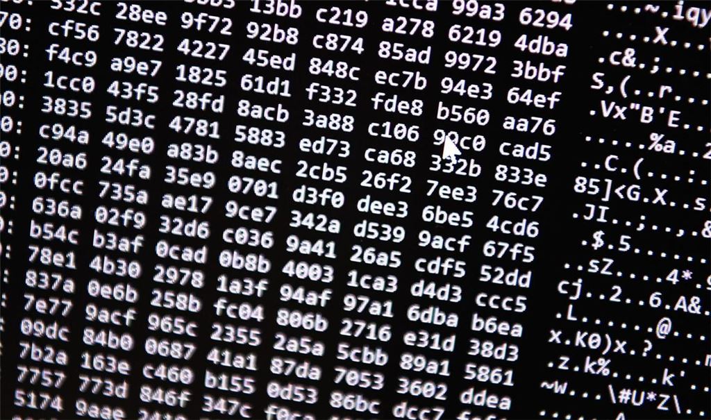 Neue Tools ermöglichten einen Schlag gegen ein Betrugs-Netzwerk im Darknet. (Symbolbild)