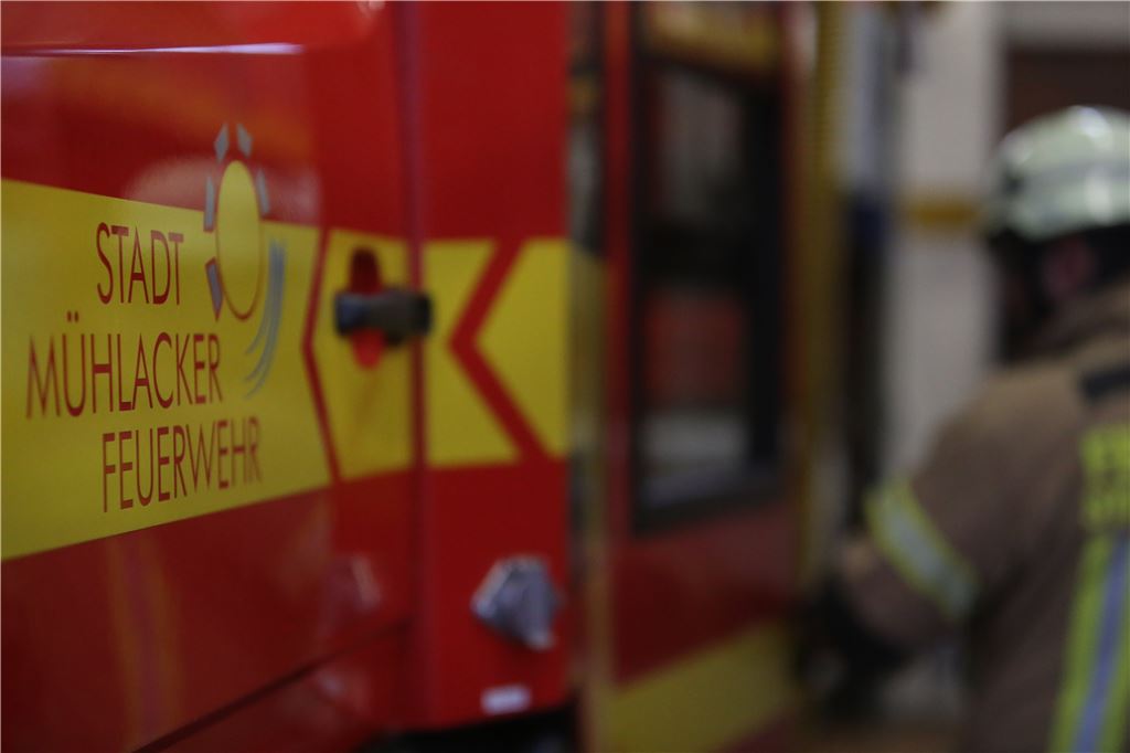 lh Feuerwehr Mühlacker (2)