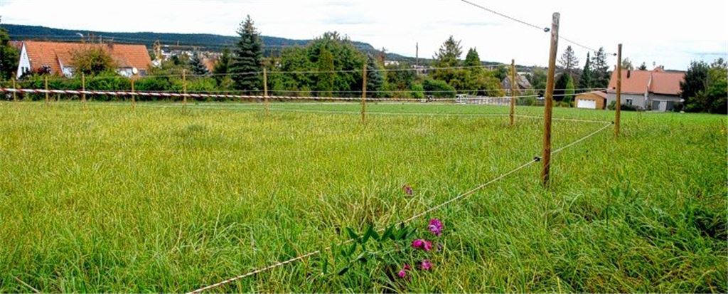 Zustimmung und Einwände zu Planung