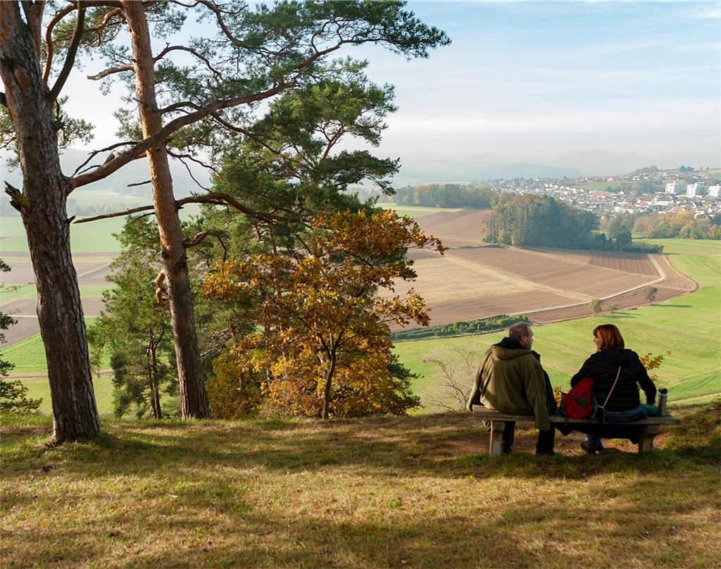 Neues Projekt der Bürgerstiftung: Die Artenvielfalt am Kammertenberg soll gesichert und gestärkt werden. Foto: Fotomoment