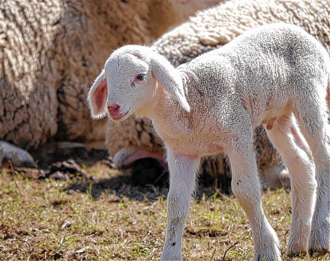 Frühlingsgefühle