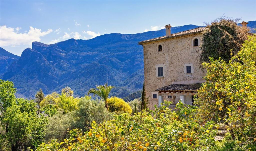 Nicht Italien und nicht der Orient: „Kennst du das Land, wo die Zitronen blühen?“