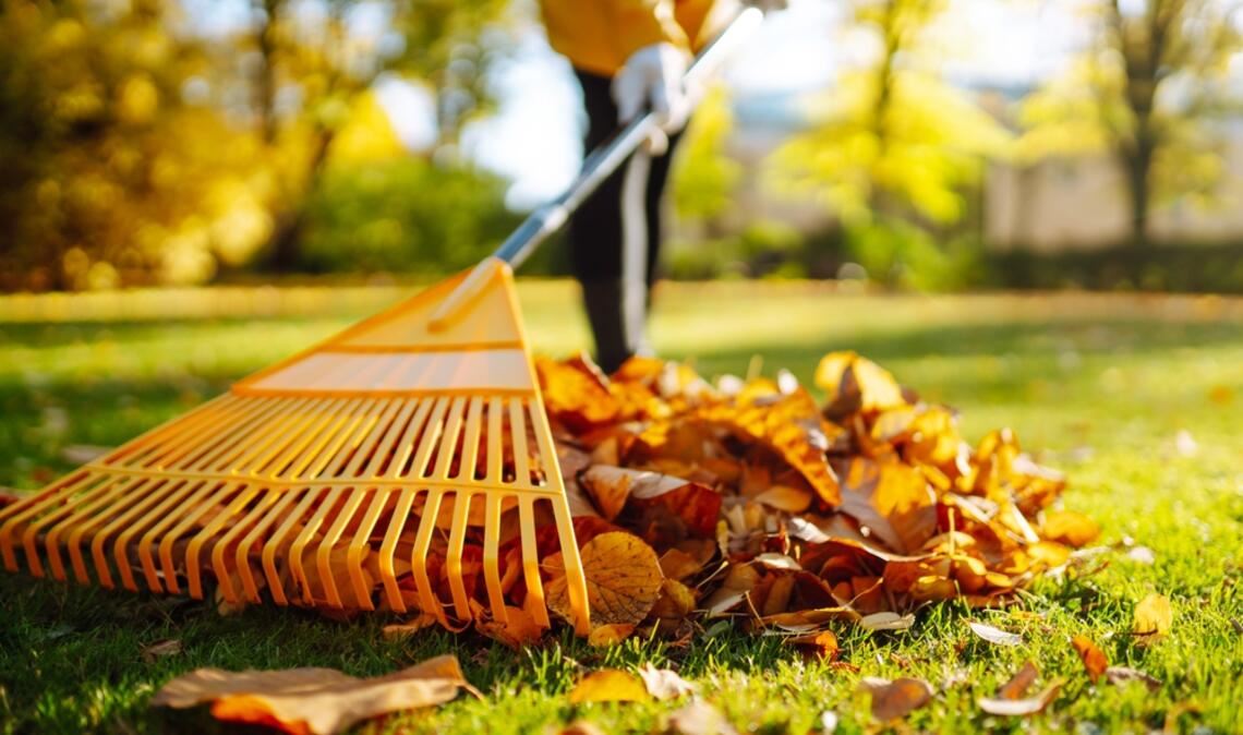 Nicht alle Arbeiten sind an Allerheiligen erlaubt.