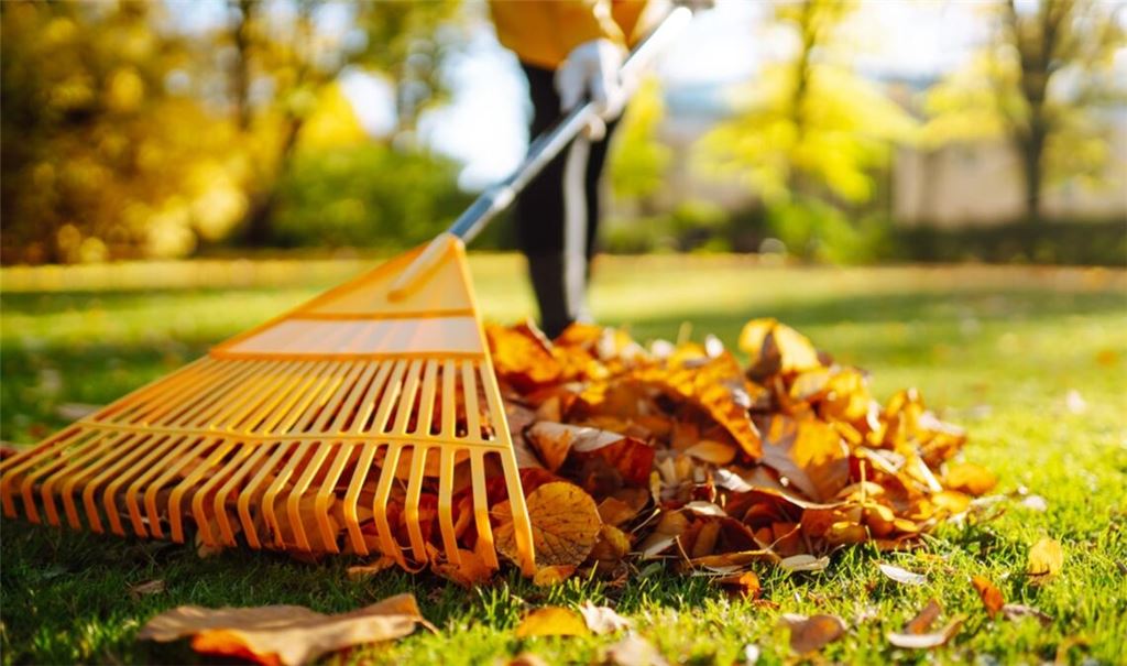 Nicht alle Arbeiten sind an Allerheiligen erlaubt.