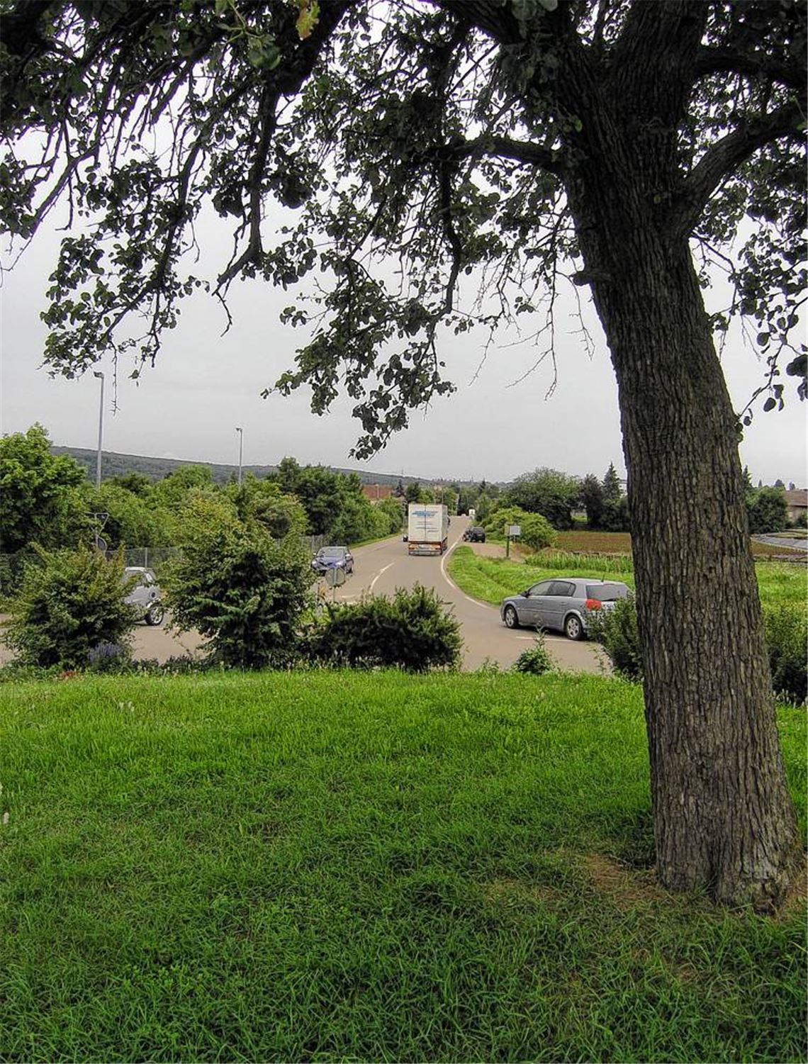Nicht erlaubt: der Baum im Kreisverkehr an der Fuchsensteige bei Lomersheim.
