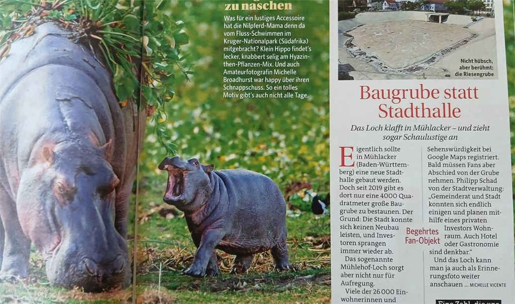 „Nicht hübsch, aber berühmt“: das Mühlehof-Loch in der „Bild der Frau“. Foto: Eier