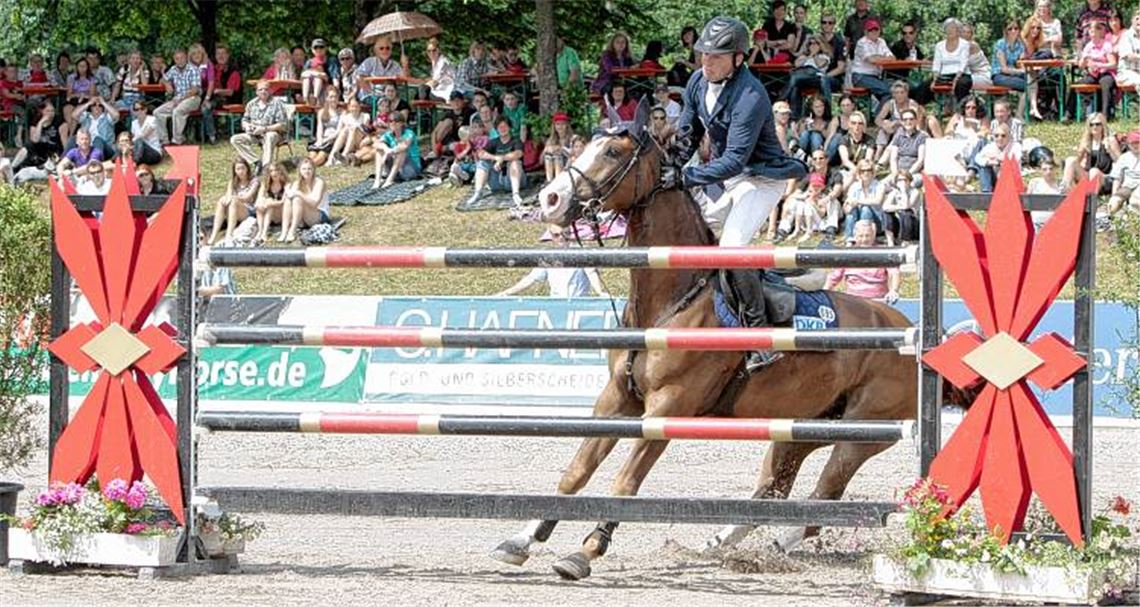 Nicht immer will das Pferd wie sein Reiter: Wallach Galippo mit Lars Nieberg im Sattel legt im vergangenen Jahr vor einer Hürde einfach eine Vollbremsung hin. Foto: Keller
