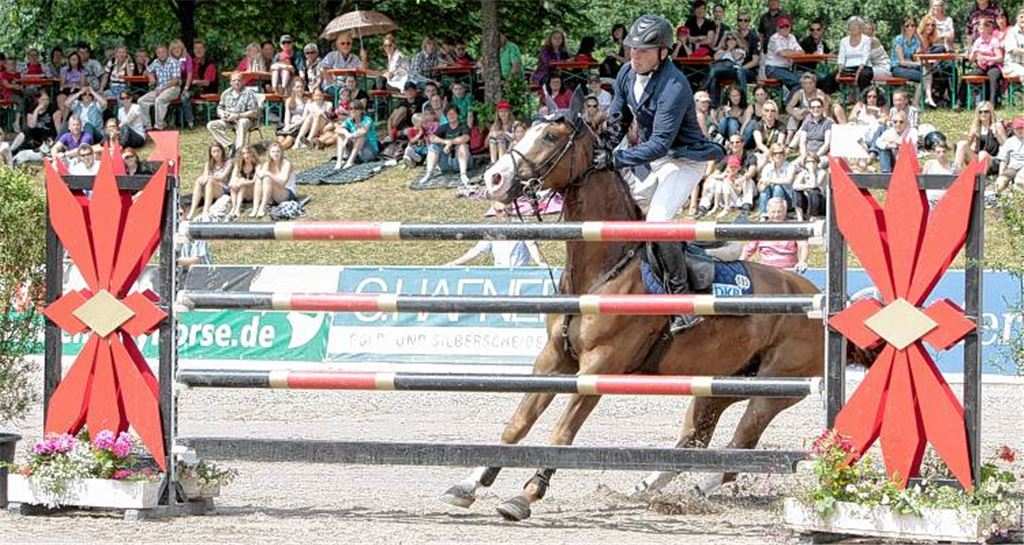 Nicht immer will das Pferd wie sein Reiter: Wallach Galippo mit Lars Nieberg im Sattel legt im vergangenen Jahr vor einer Hürde einfach eine Vollbremsung hin. Foto: Keller