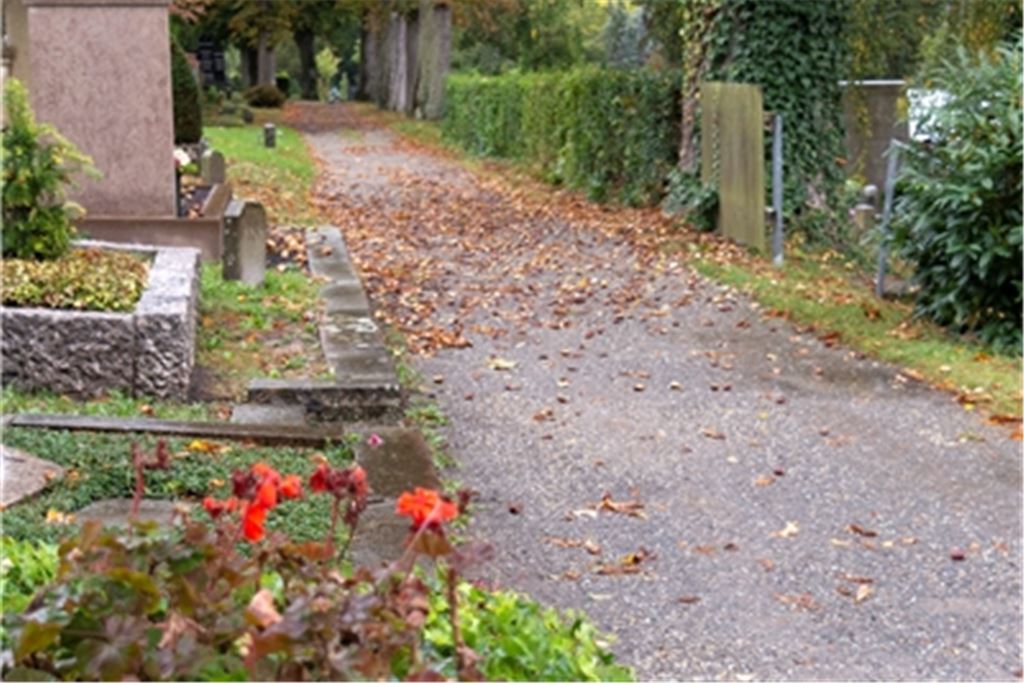 Nicht in bestem Zustand: der Hauptweg auf dem Friedhof St. Peter. Foto: Fotomoment