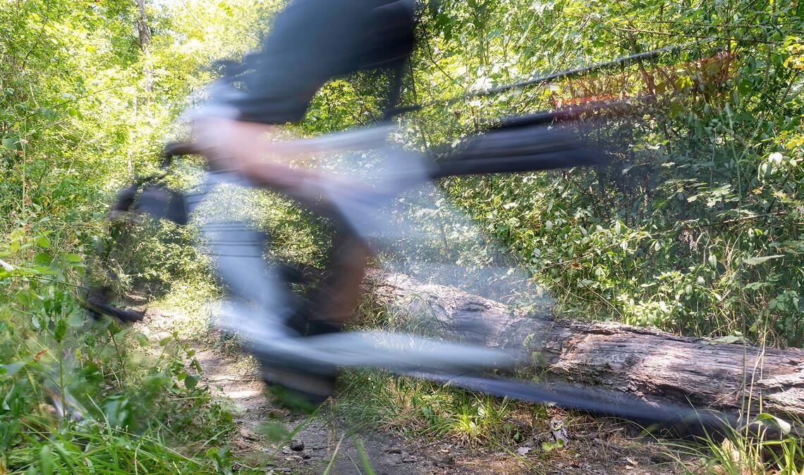Nicht jede Strecke am Sauberg ist als Trail für Mountainbiker geeignet und zugelassen. Offenbar greift deshalb ein Unbekannter zur Selbstjustiz mit Draht. Symbolfoto: Archiv