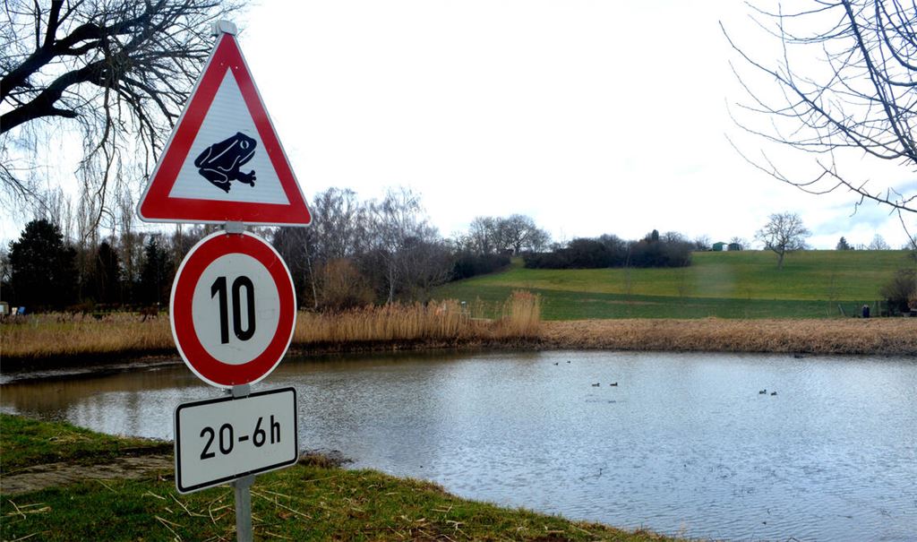 Nicht nur am Wullesee sind Schilder aufgestellt, die auf die Amphibienwanderung aufmerksam machen. Fotos: Stahlfeld, Grafik: privat