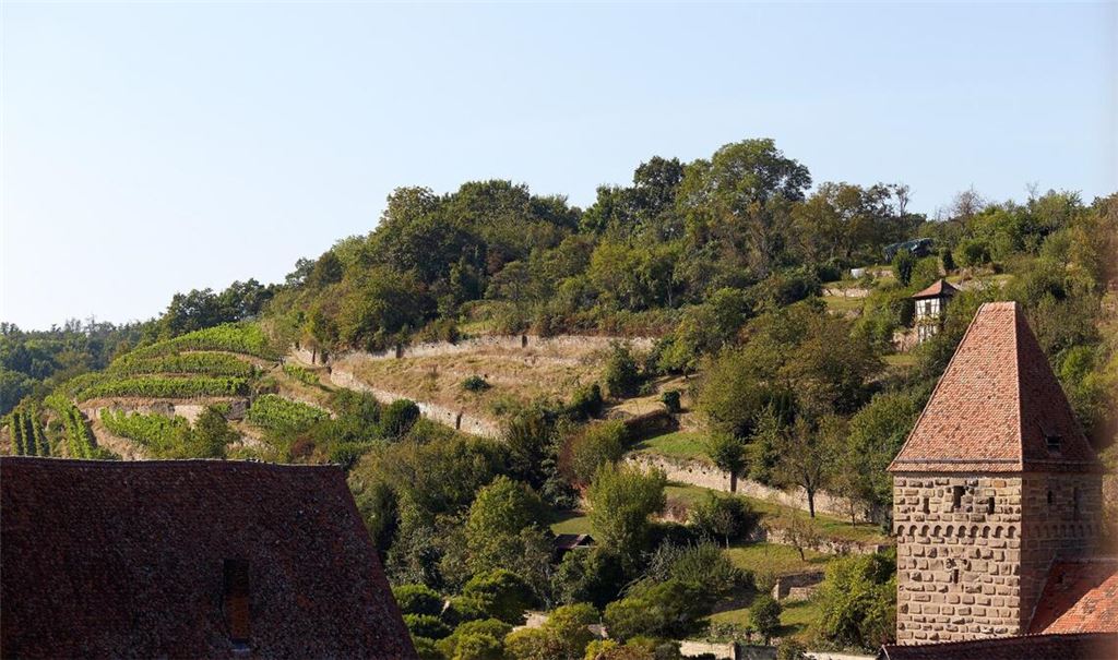 Nicht nur in Maulbronn selbst, sondern auch im Umkreis haben die Zisterziensermönche die Landschaft nachhaltig geprägt. Foto: Staatliche Schlösser und Gärten Baden-Württemberg, Harry Keller