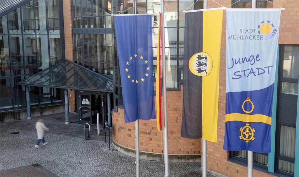 Nicht nur in der „Jungen Stadt“ Mühlacker hat der 23-jährige Wiernsheimer Gemeinderat Nico Gunzelmann bei der Landtagswahl als Direktkandidat der CDU ein starkes Ergebnis geholt – und die Lokalmatadorin Stefanie Seemann überflügelt.Foto: Fotomoment