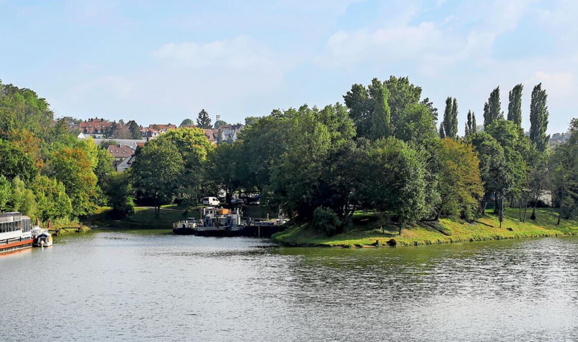 Nicht überall ist der Neckar so nah und erlebbar wie hier in Bad Cannstatt.