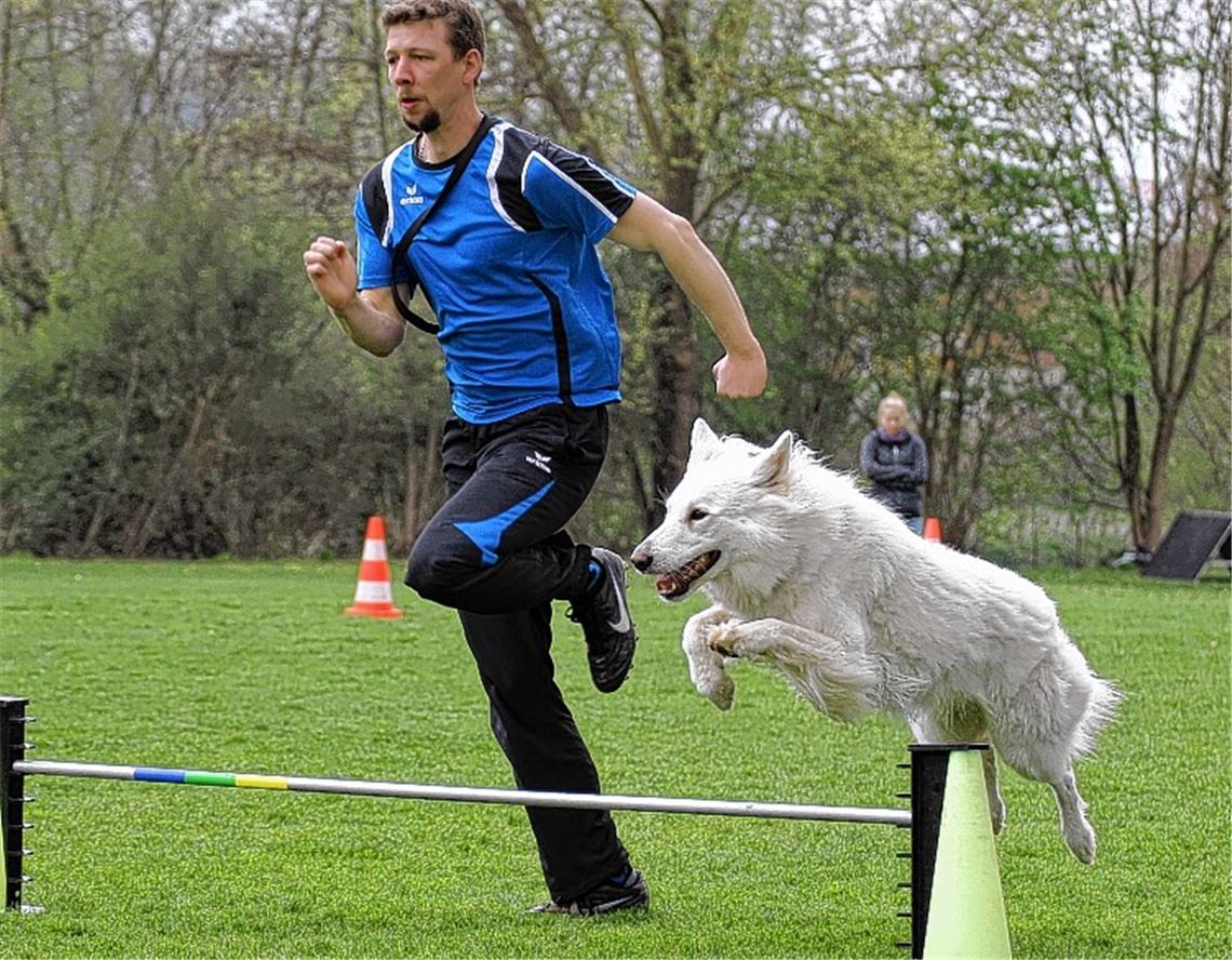 Nicht zu schlagen: Matthias Ehrismann vom HSV Mühlacker mit seinem Weißen Schweizer Schäferhund Amadeo. Foto: Heintel