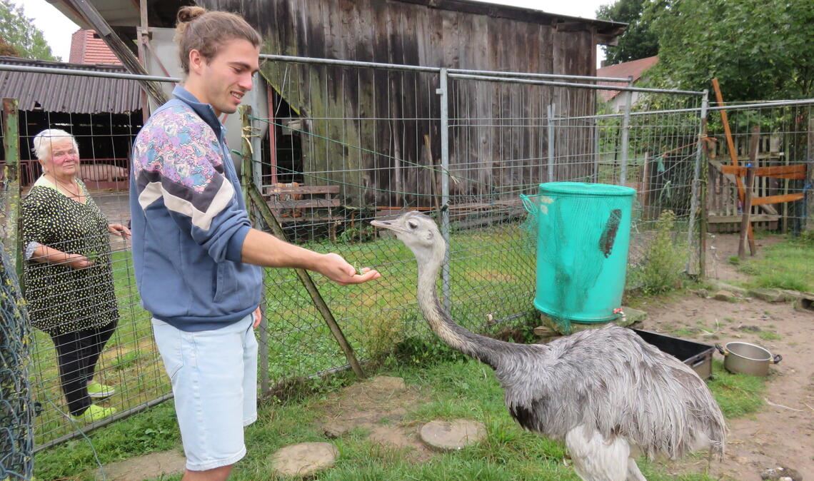 Nila ist neugierig genug, um das Futter aus den Händen Leon Kieslingers entgegenzunehmen. Dessen Großmutter Christa Creyaufmüller beobachtet die Tiere gern. Fotos: Becker