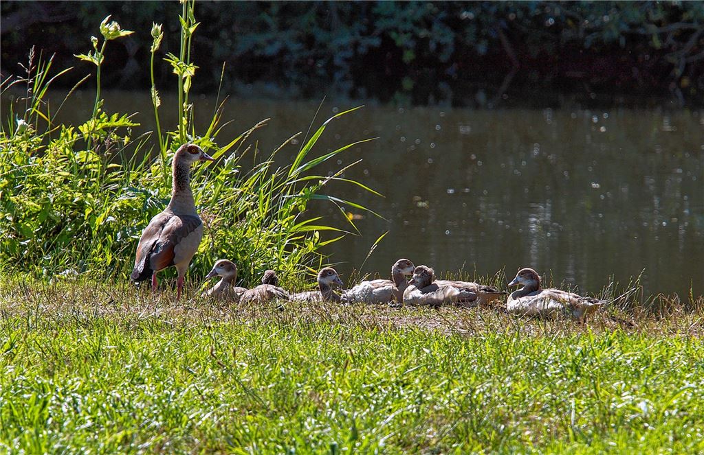 Sommerzeit