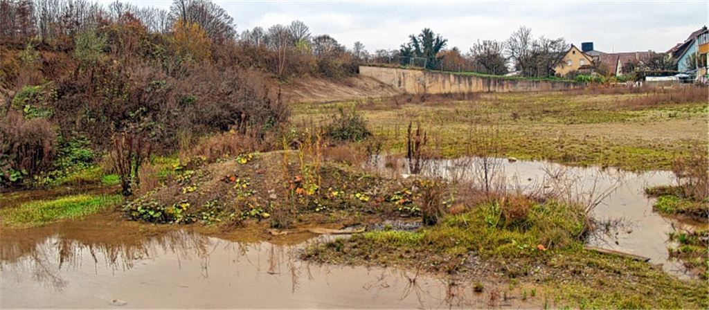 Noch eine Knittlinger Seenlandschaft, bald das Gelände des Bauhofs.