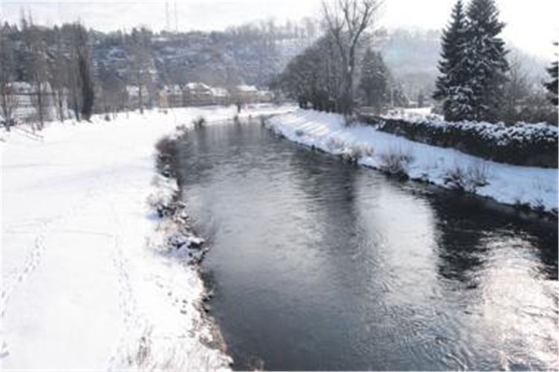 Noch ist der Wasserspiegel der Enz in Mühlacker niedrig. Bei einer Schneeschmelze in Verbindung mit starkem Regen kann jedoch wieder einmal Hochwasser drohen. Foto: Sadler