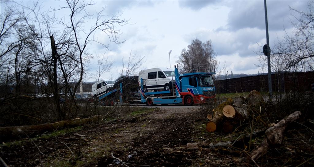 Noch liegt kein Verkehrskonzept vor, das die Probleme im Umfeld der Spedition Mosolf lösen könnte. Gegenüber fanden jetzt Waldarbeiten statt.Foto: Stahlfeld
