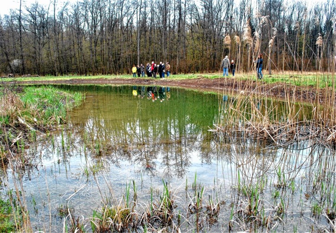Heimisch werden im Himmelsteich