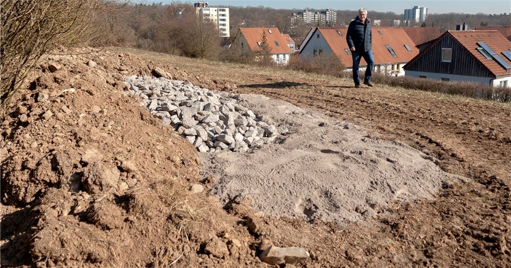 Norbert Weimper, Pressesprecher des Investors, zeigt ein Ersatz-Quartier für die Zauneidechsen am Mühlacker Wohngebiet Bannholz. Der Sand soll der Eiablage dienen.Foto: Fotomoment