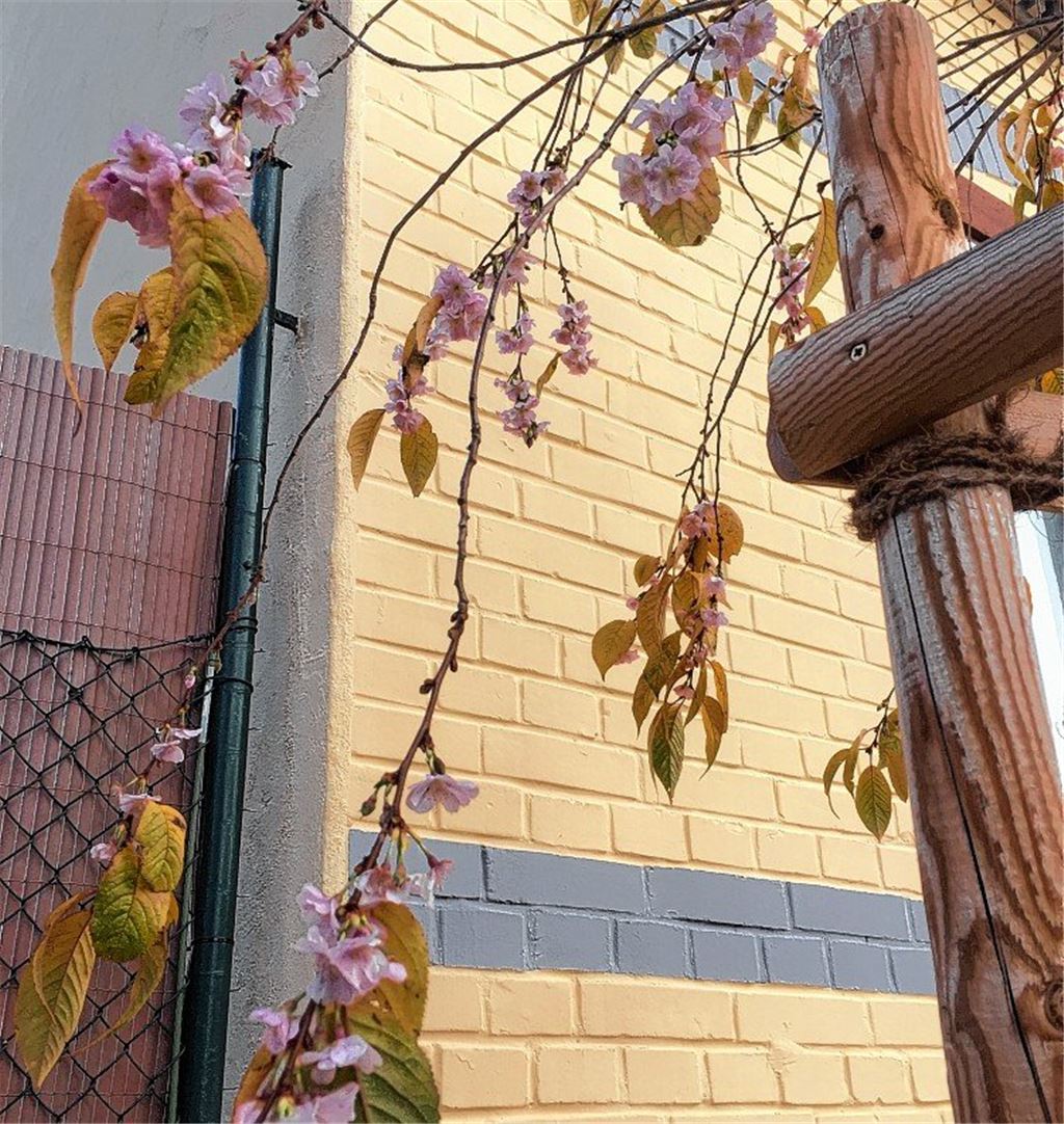 Herbstfarben