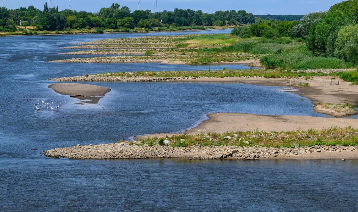 Nun müssen die EU-Länder noch mit dem Europaparlament verhandeln.(Archivbild)