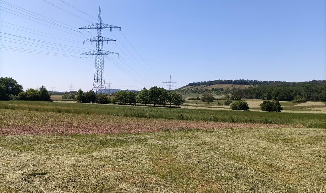 BUND stellt wertvolles Refugium vor Nur die Stromtrasse stört das idyllische Bild. Foto: Deeg