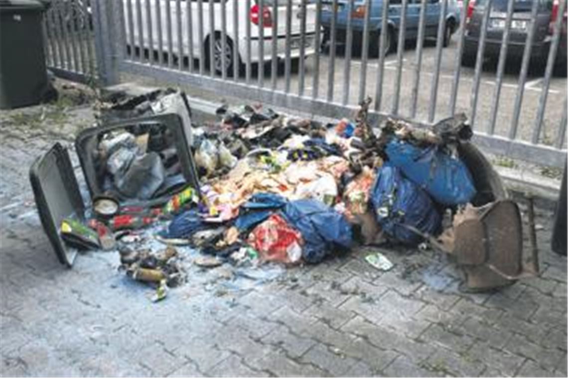 Nur ein Ausreißer? Mülleimer brennen im September auf einem Areal im rückwärtigen Bereich der Mühlacker Bahnhofstraße. 
Archivfoto: Franz