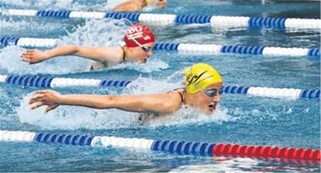 Nur fliegen ist schöner: Schmetterling bekommt man im Freibad-Becken selten zu sehen.
Foto: Tilo Keller