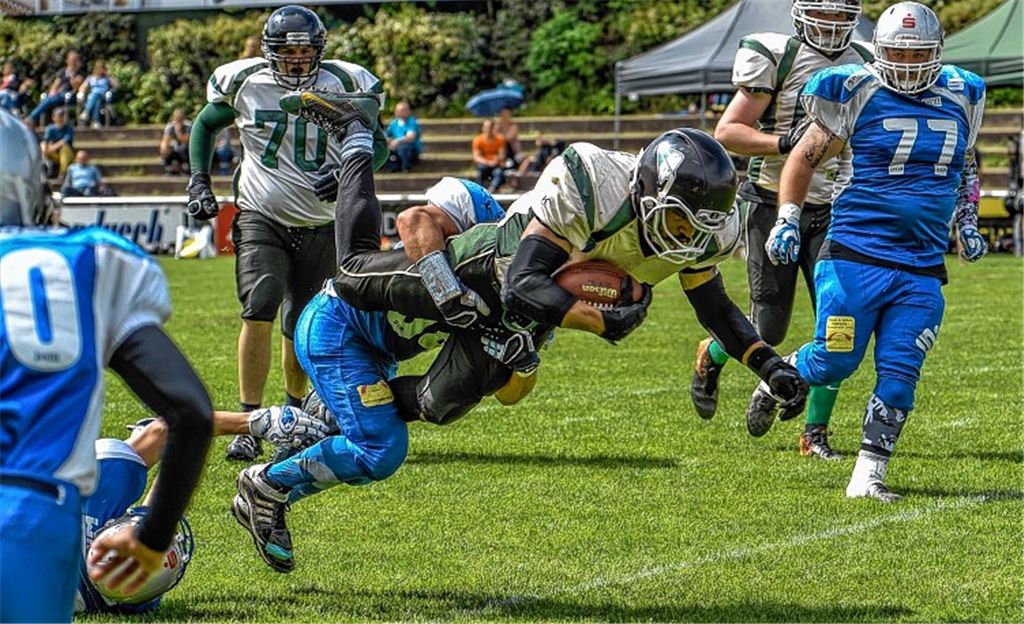 Wilddogs legen einen Fehlstart hin