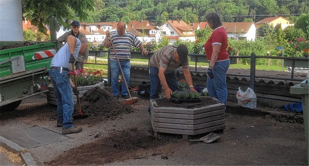 OGV-Mitglieder leisten einen Beitrag zur Ortsverschönerung.