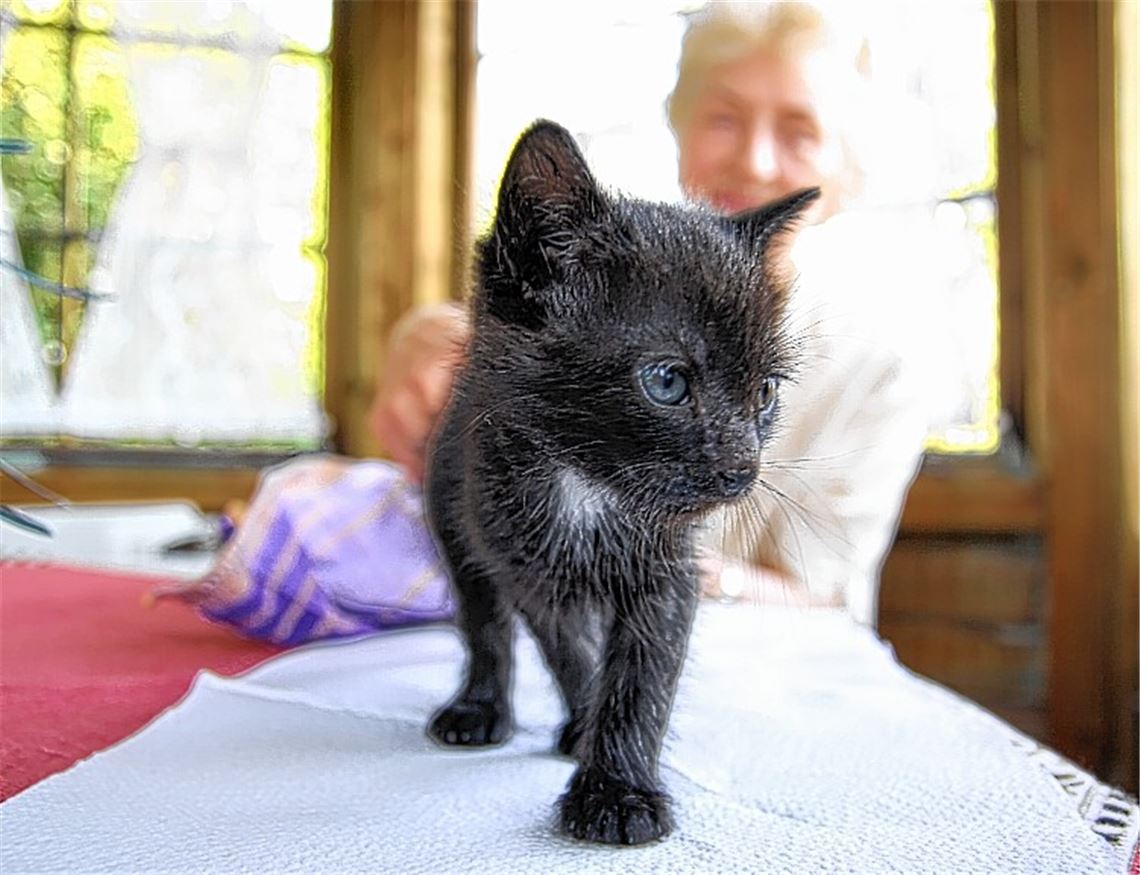 Ob Monika Huber ihren Tarzan später noch, wie ursprünglich angedacht, abgeben kann?