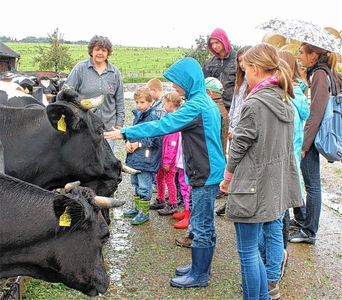 Ob beim Streicheln der Kühe oder beim Prüfen der Milchtemperatur mit Regine Blessing: Auf dem Bauernhof gibt es viel zu erfahren.