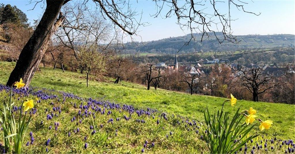 Frühlingsgefühle
