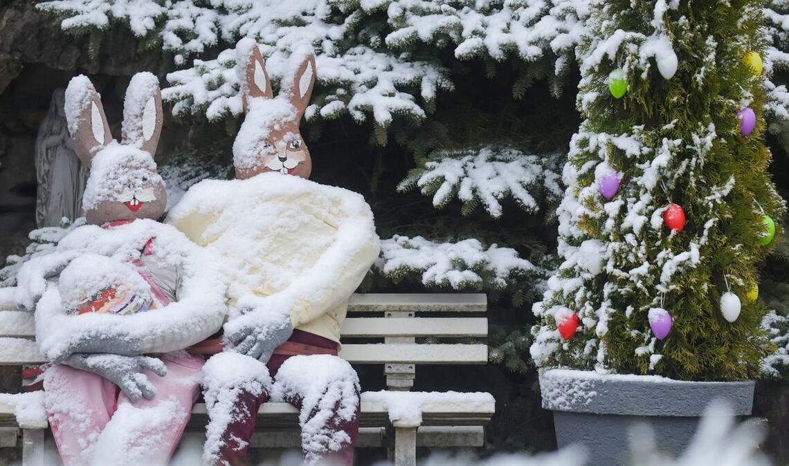 Oberhalb von etwa 600 Metern können laut dem DWD bis zum Mittag bis zu drei Zentimeter Neuschnee zusammenkommen.