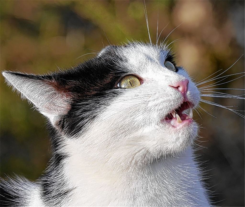 Was zu widerlegen war