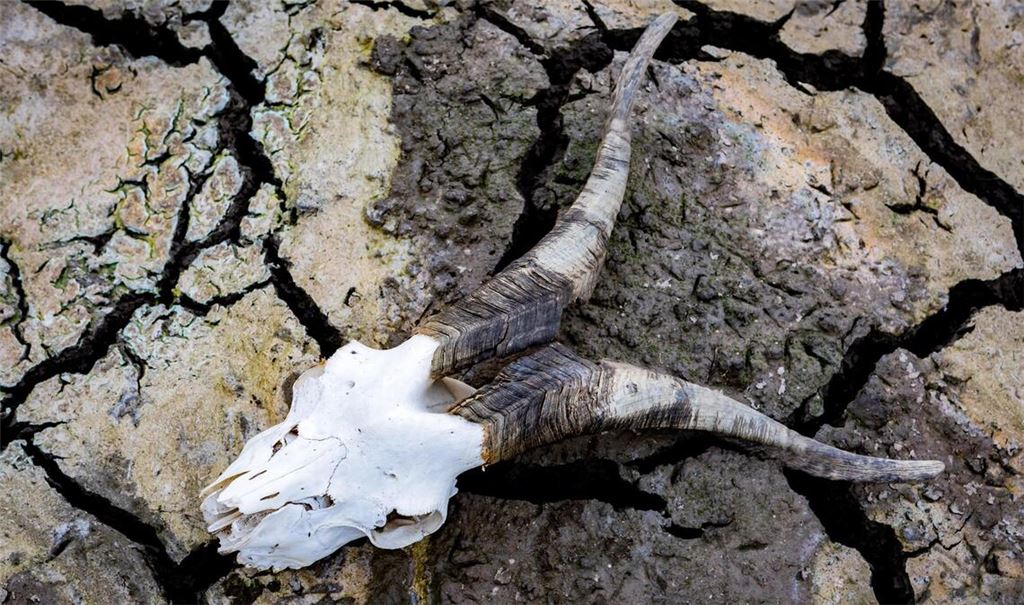 „Ohne wirksame Strategien werden wir schnell mit eskalierenden Risiken konfrontiert sein, die Frieden, Regierungssysteme sowie öffentliche Gesundheit und Stabilität der Ökosysteme zu überwältigen drohen.“