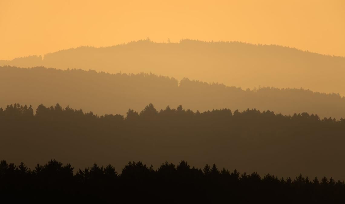 Bilder des Tages Orangefarbenes Morgenlicht über den Wäldern des Schwarzwalds.