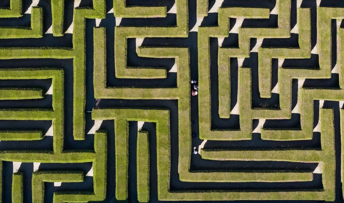 Orientierungssinn gefragt: Besucher gehen durch einen Irrgarten zwischen Thuja-Hecken-Pflanzen.