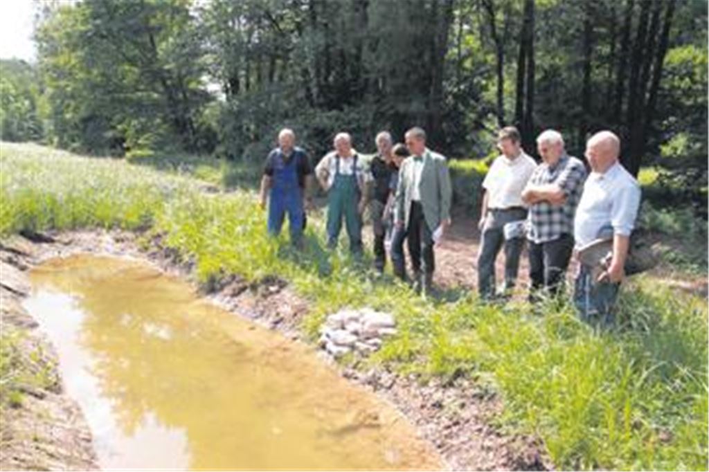 Ortstermin im Mettenbacher Tal: Die neue Artenvielfalt an den künstlich angelegten Tümpeln freut die Experten. Niedergelassen haben sich hier die Ringelnatter, die Plattbauch-Libelle und der Springfrosch sowie eine ganze Reihe weiterer seltener Arten. Foto: Franz