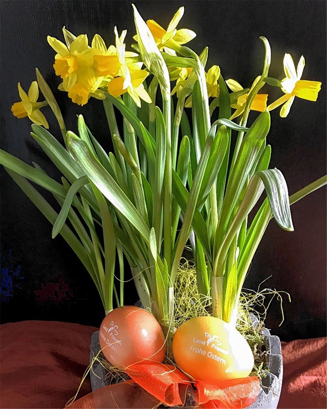 Frühlingsgefühle Frühlingsgefühle