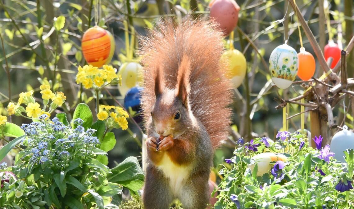 Ostern steht vor der Tür. (Archivbild)