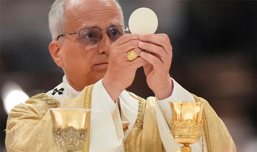 Papst Leo XIV. ist seit bald einem Jahr im Amt.