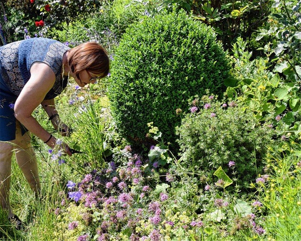 Damit es auch morgen noch summt ...