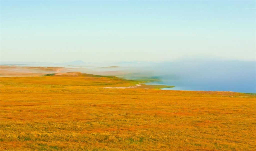 Permafrost in der sibirischen Tundra.