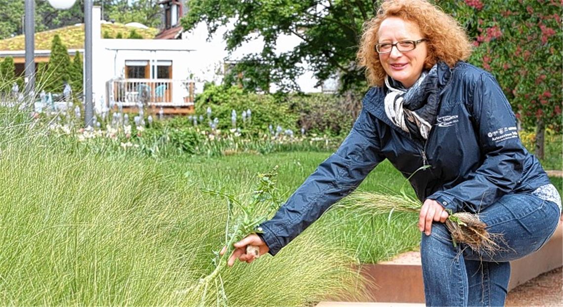 Es wird Sommer in den Enzgärten Es wird Sommer in den Enzgärten